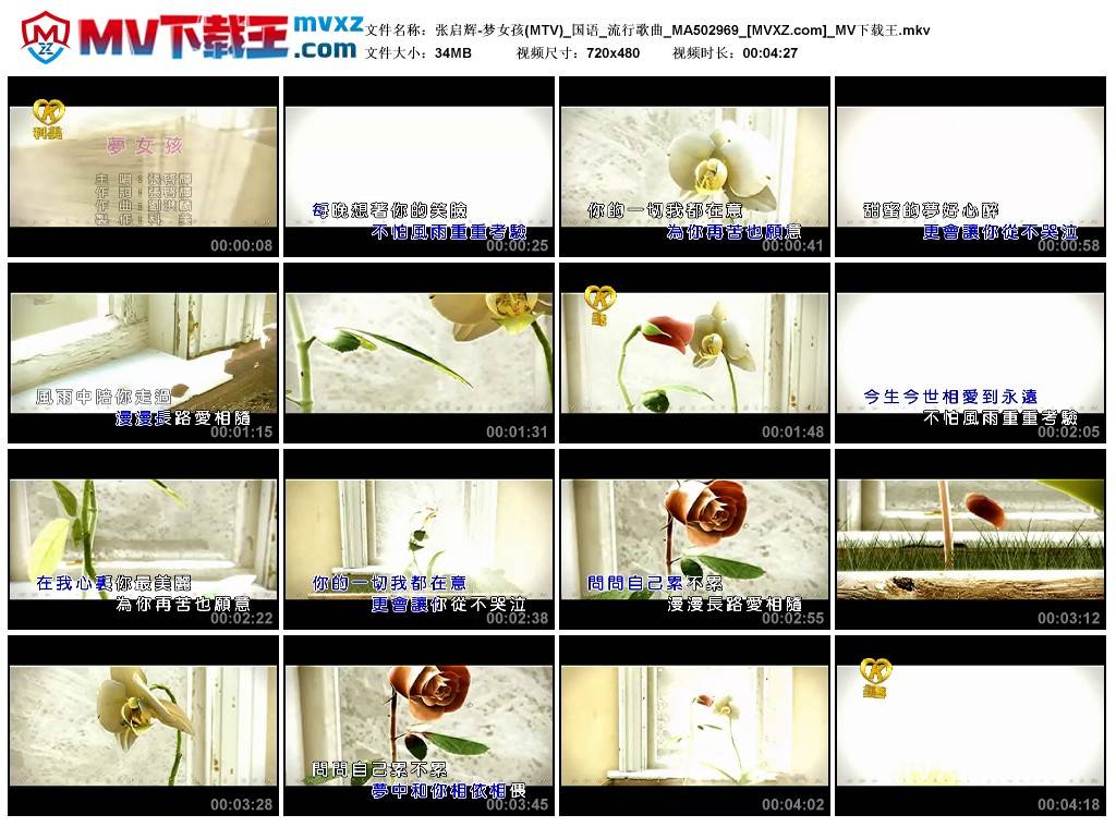 张启辉-梦女孩(MTV)_国语_流行歌曲_MA502969